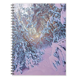 Winter forest view notebook