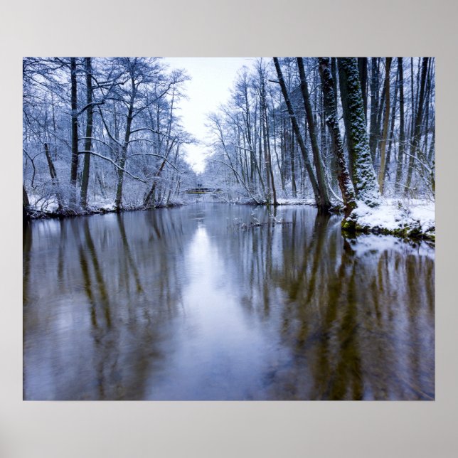 Winter Forest with Beautiful Stream Poster (Front)