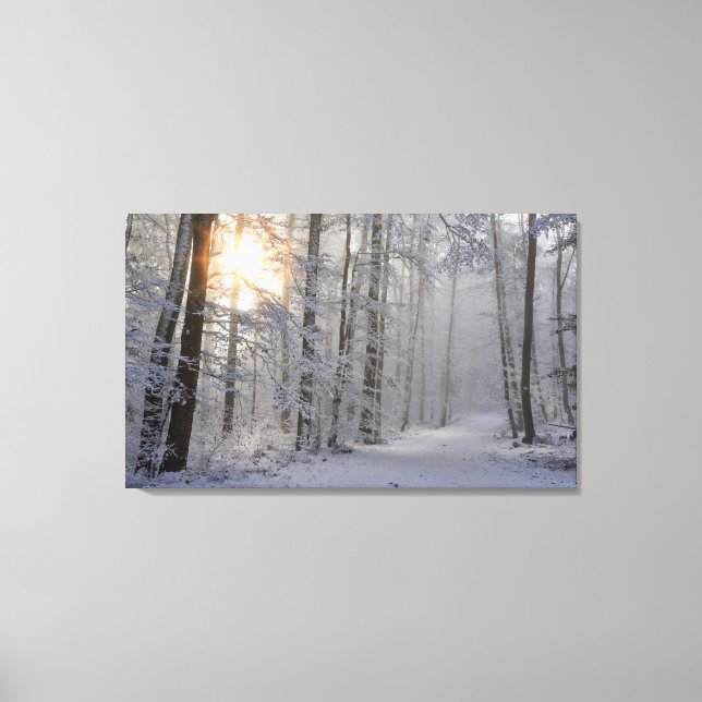 winter forest wrapped canvas (Front)