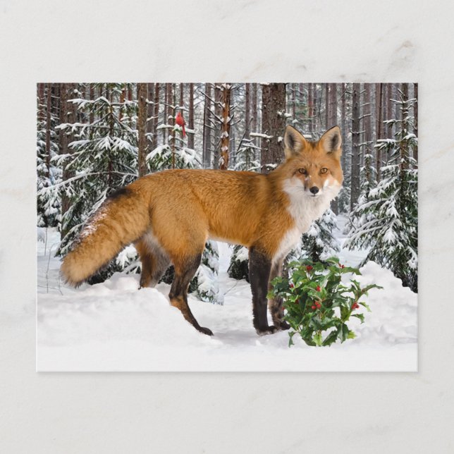 "Winter Fox" Holiday Postcard (Front)