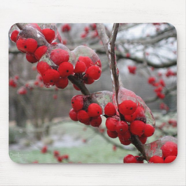 Winter Freeze and Ice on Red Berries Mouse Mat (Front)