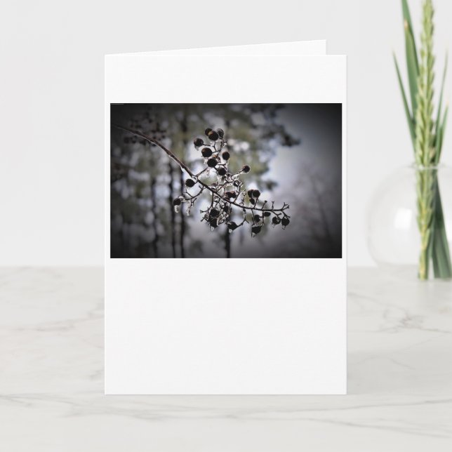 Winter Freeze, card (Front)