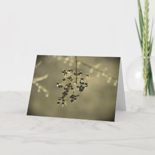 Winter Freeze, card