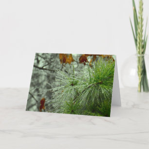 Winter Freeze, card