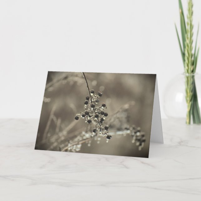Winter Freeze, card (Front)