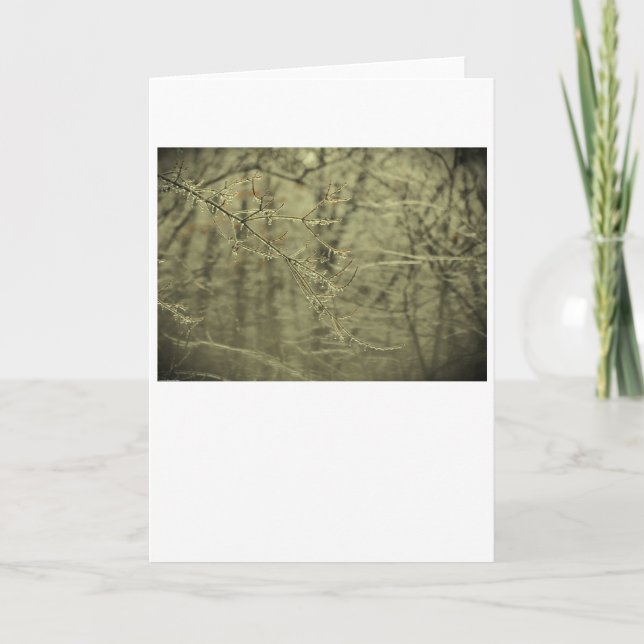 Winter Freeze, card (Front)