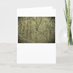 Winter Freeze, card