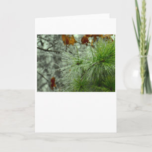 Winter Freeze, card