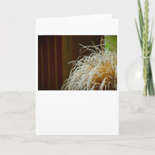 Winter Freeze, card