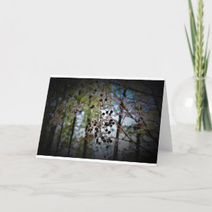 Winter Freeze, card