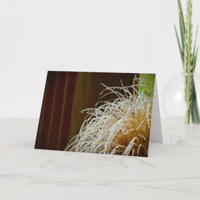 Winter Freeze, card (Front)