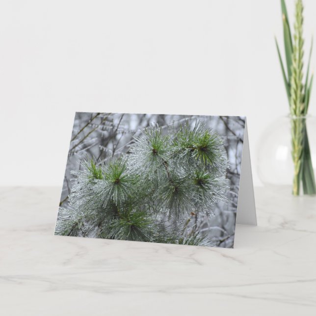 Winter Freeze, card (Front)