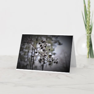 Winter Freeze, card