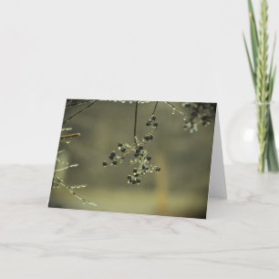 Winter Freeze, card