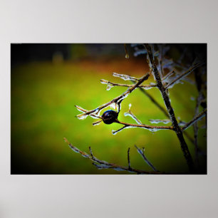 Winter Freeze,  Poster