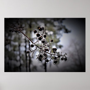 Winter Freeze, Poster