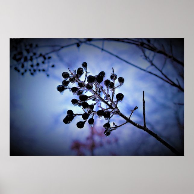 Winter Freeze,  Poster (Front)