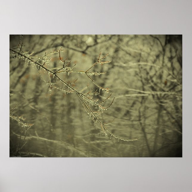 Winter Freeze, Poster (Front)