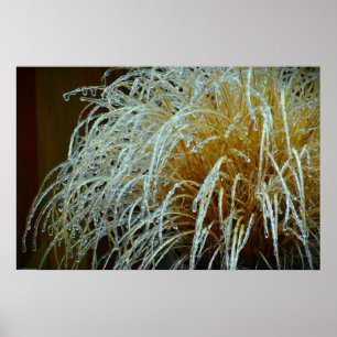 Winter Freeze, Poster