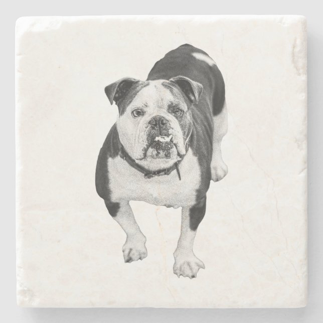 Winter Friend, Bulldog Coaster (Front)