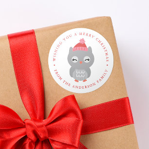 Winter Friends   Owl Holiday Classic Round Sticker