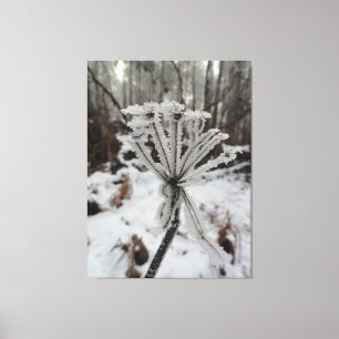 Winter frost on plants in the forest photography canvas print