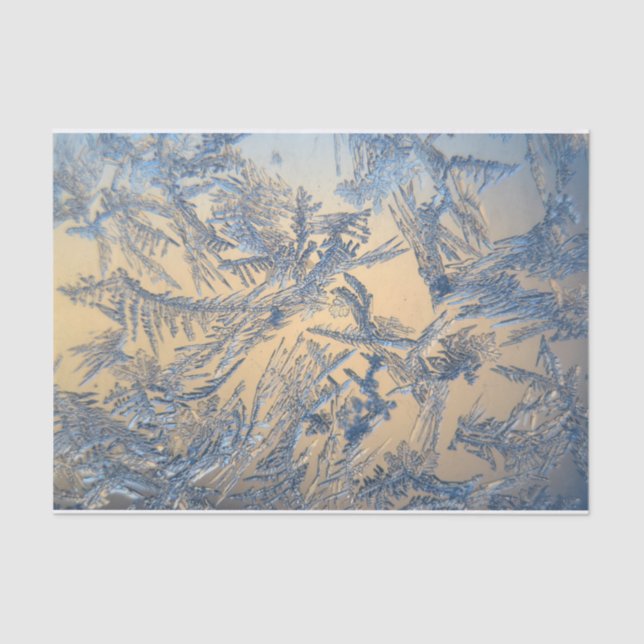 Winter frost tissue paper (Front)