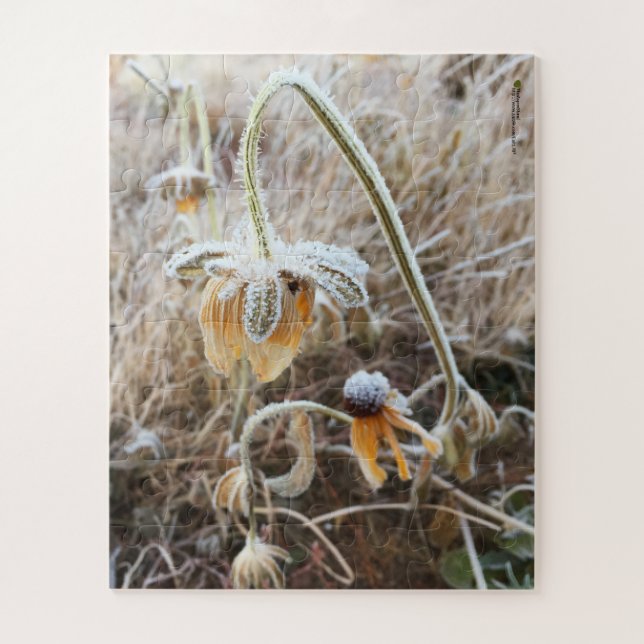 Winter Frost Wilted Rudbeckia Blooms Photograph Jigsaw Puzzle (Vertical)