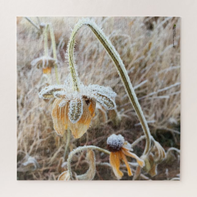 Winter Frost Wilted Rudbeckia Blooms Photograph Jigsaw Puzzle (Vertical)