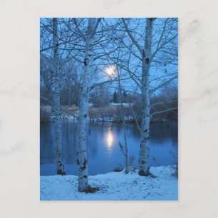 Winter Full Moon on the Pond Postcard