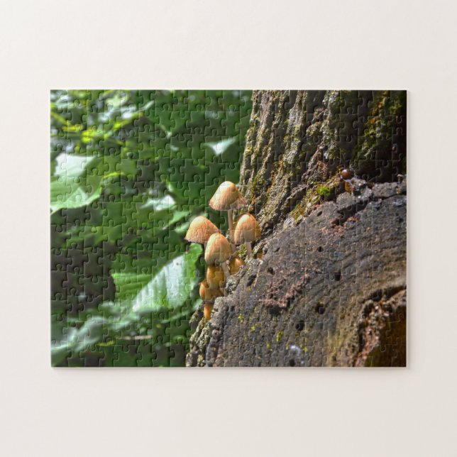 Winter Fungi Canada. Jigsaw Puzzle (Horizontal)