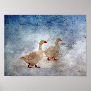 Winter Geese Poster