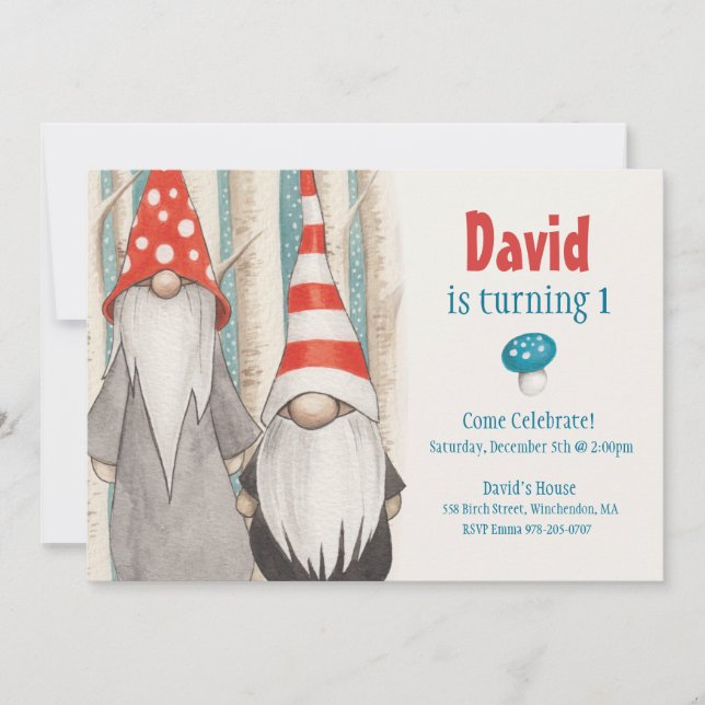 Winter Gnome Birthday Party Invitation (Front)
