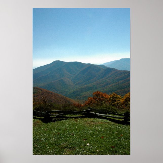 winter green poster (Front)