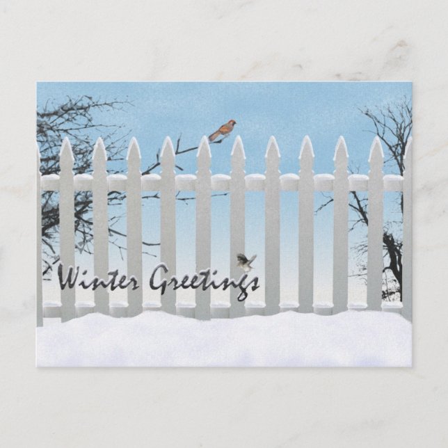 Winter greetings holiday postcard (Front)
