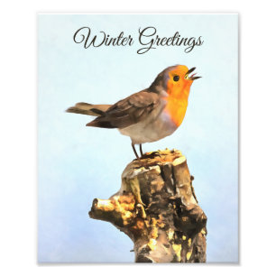 Winter Greetings. Robin singing Photo Print