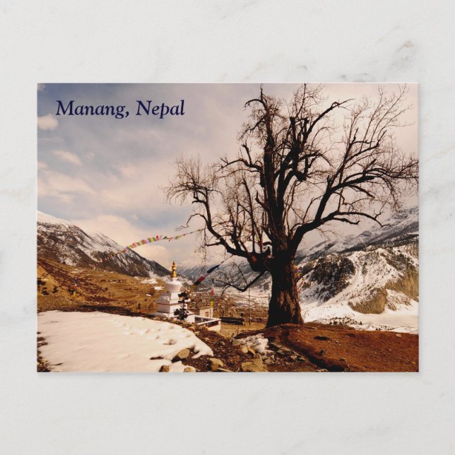 Winter grips Manang Postcard (Front)