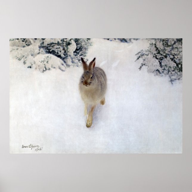 Winter Hare (Rabbit), Bruno Liljefors Poster (Front)