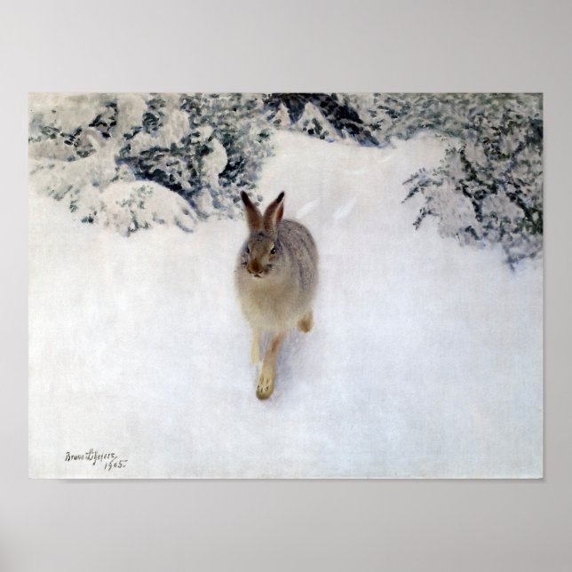 Winter Hare (Rabbit), Bruno Liljefors Poster (Front)