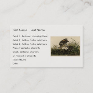Winter Hawk, John James Audubon's Birds of America Business Card