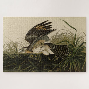 Winter Hawk, John James Audubon's Birds of America Jigsaw Puzzle