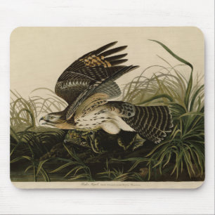 Winter Hawk, John James Audubon's Birds of America Mouse Mat