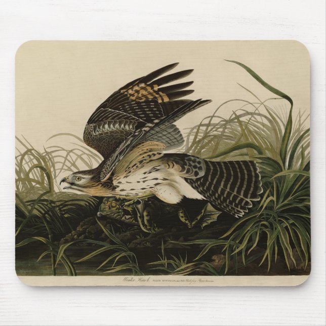 Winter Hawk, John James Audubon's Birds of America Mouse Mat (Front)