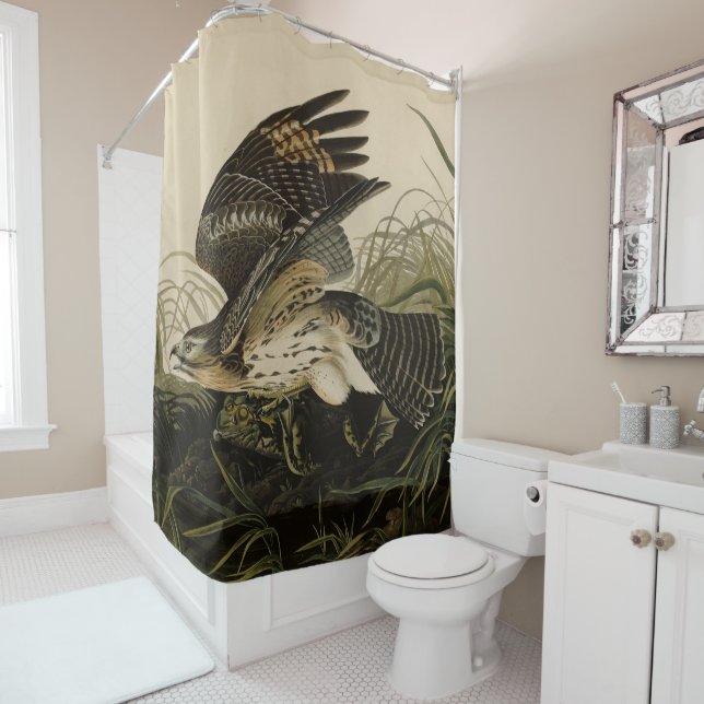 Winter Hawk, John James Audubon's Birds of America Shower Curtain (In Situ)