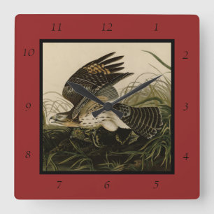 Winter Hawk, John James Audubon's Birds of America Square Wall Clock