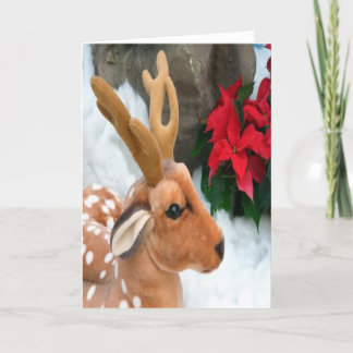 Winter Holiday Card:  "Snow, Deer" Card