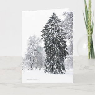 Winter Holiday in Boston Public Garden Park Card