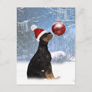 Winter Holiday Post Card With Rottweiler Puppy