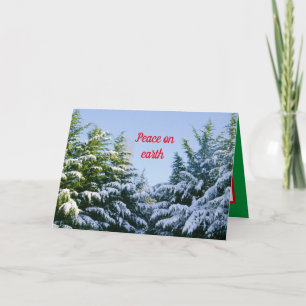 Winter holidays, pretty winter scene, Christmas Card