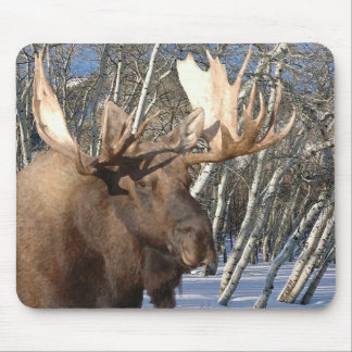 Winter Home Mousepad